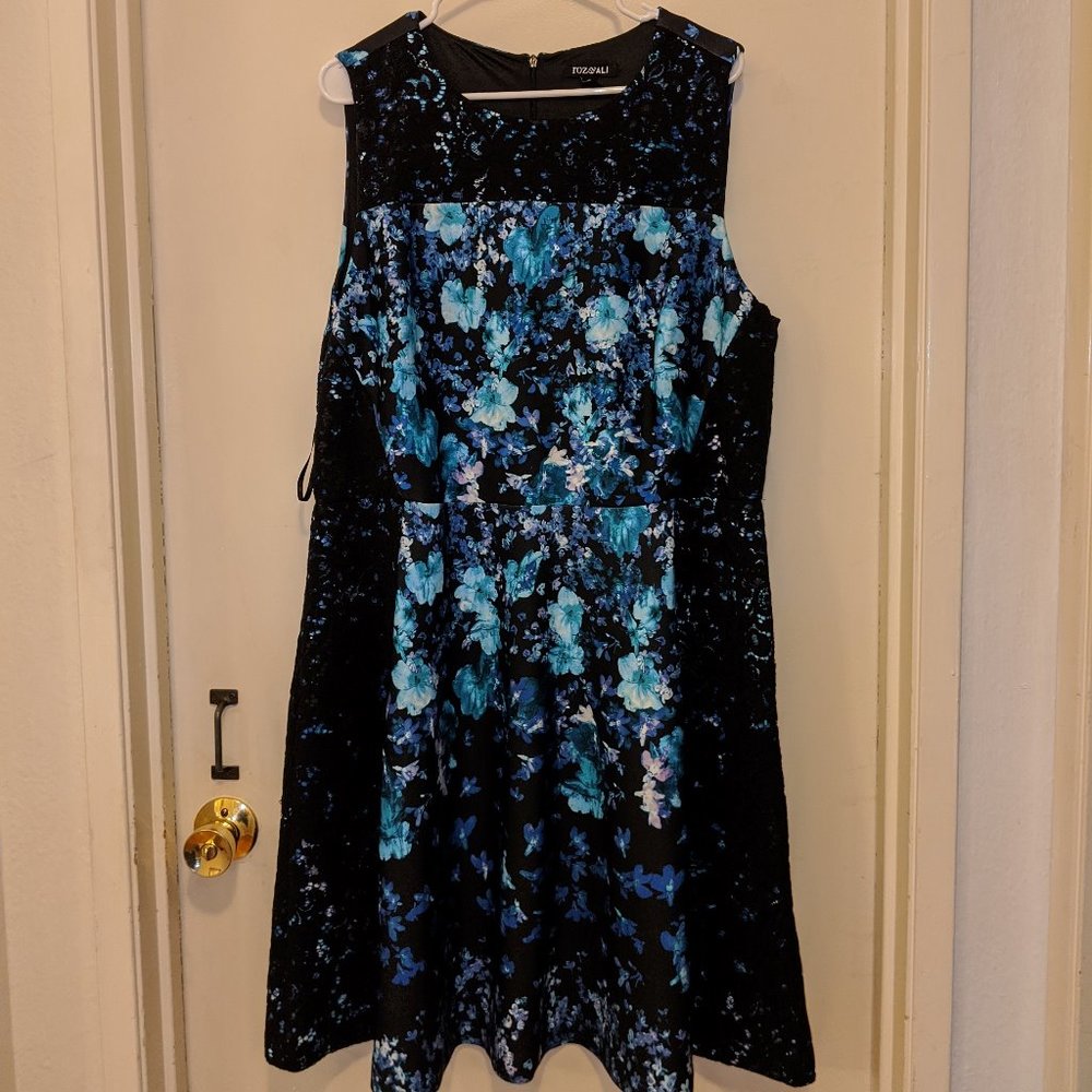 Floral and Lace Dress